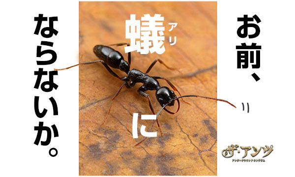 ゲームメイン画像